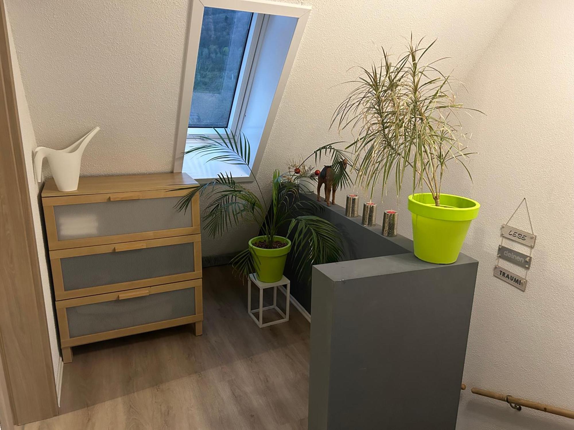 Ferienhaus Ayna, Direkt An Der Schweizer Grenze Bad Säckingen Exterior foto